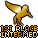Won 1st Place in the Intermediate Level of the Pegasus Derby!