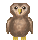Owl the owl