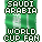 Saudi Arabia World Cup Fan