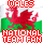 Wales National Team Fan