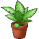 plant mum (Sioban's 2020-2021 FPP Sapphire 1 Award)