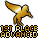 Won 1st Place in the Advanced Level of the Pegasus Derby! 