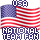 USA National Team Fan